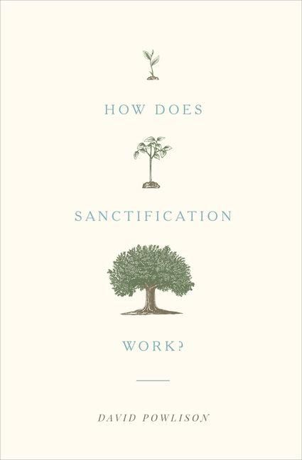 Produktbild: How Does Sanctification Work?