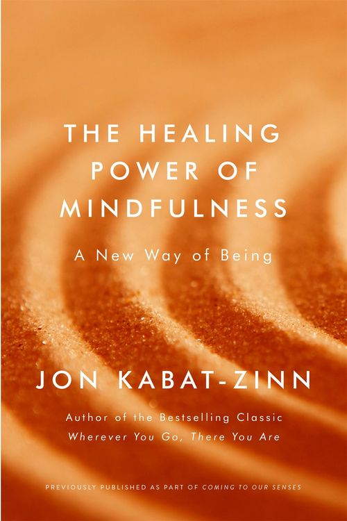 Produktbild: The Healing Power of Mindfulness