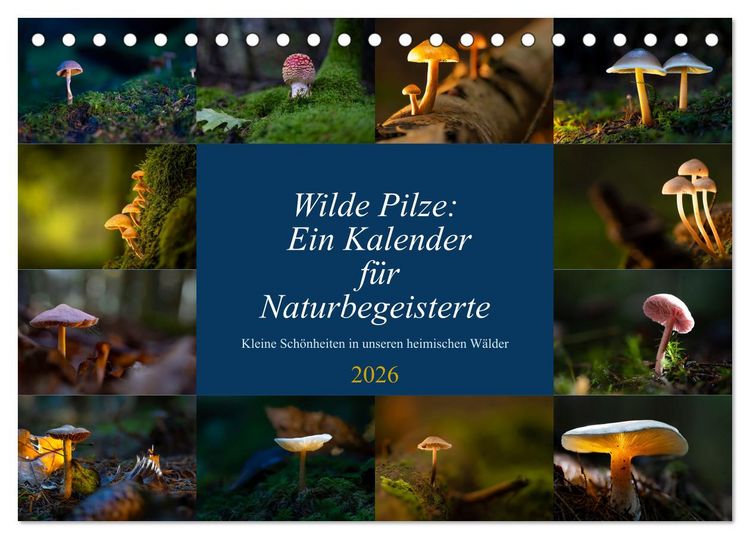 Produktbild: Wilde Pilze: Ein Kalender f&uuml;r Naturbegeisterte (Tischkalender 2026 DIN A5 quer), CALVENDO Monatskalender