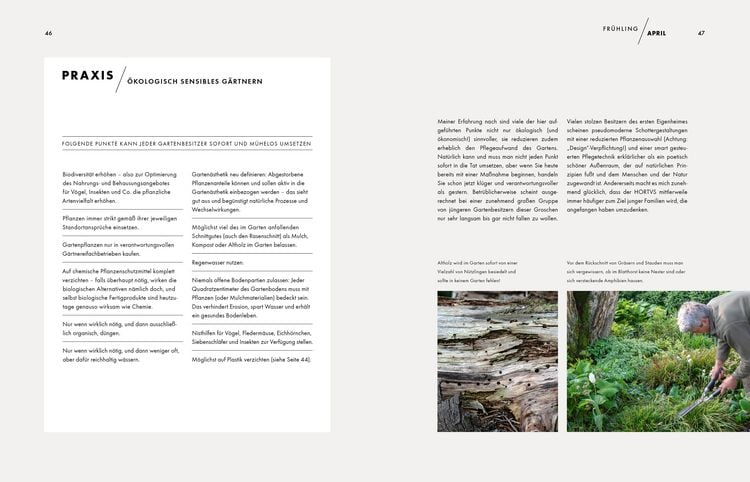 Produktbild: Peter Janke: Mein Garten im Wandel des Zeitgeistes und des Klimas