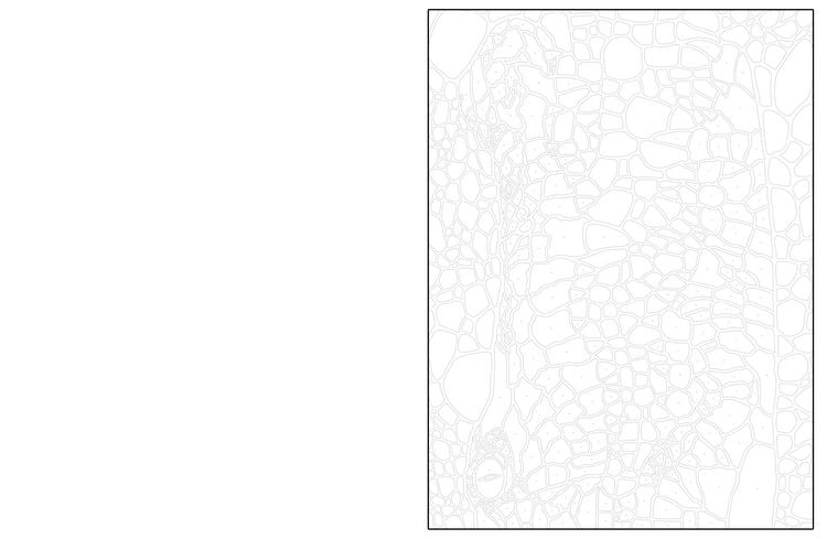 Produktbild: Ausmalen und Entdecken
