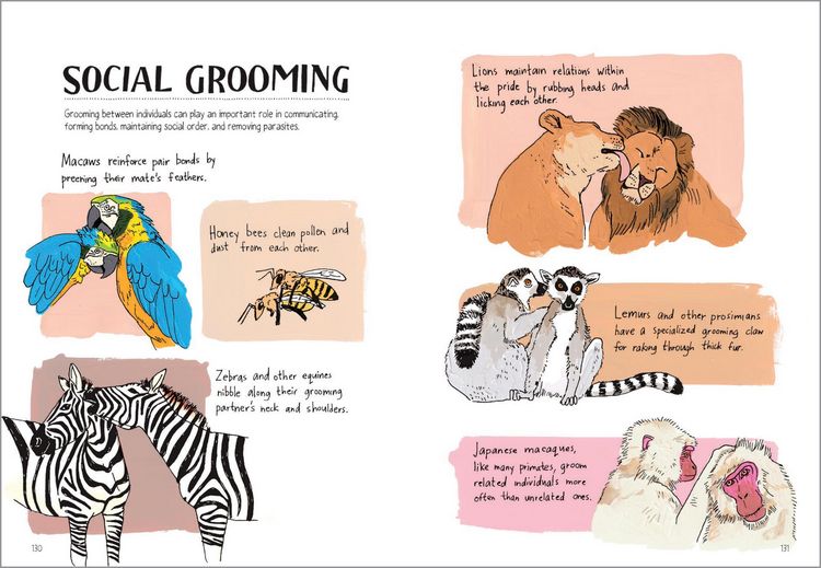 Produktbild: Wildlife Anatomy
