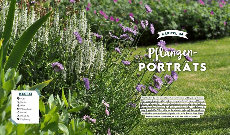 Produktbild: Keine Zeit zu g&auml;rtnern &ndash; Blumenparadies mit wenig Aufwand