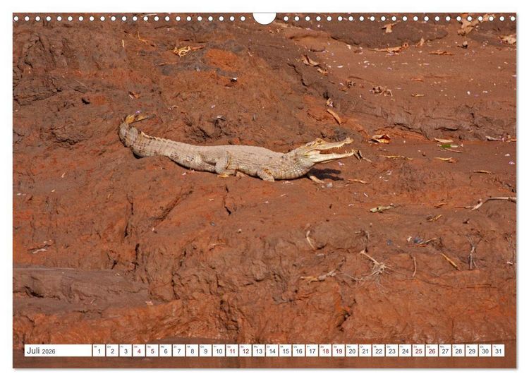 Produktbild: Vielf&auml;ltiges Peru (Wandkalender 2026 DIN A3 quer), CALVENDO Monatskalender