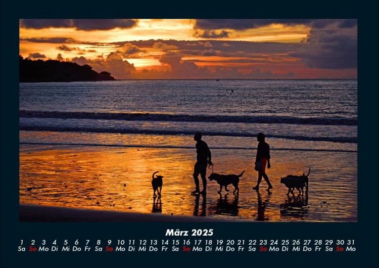 Produktbild: Hunde Kalender 2025 Fotokalender DIN A4