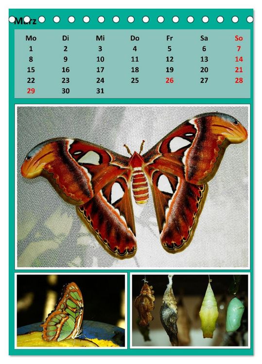 Produktbild: Karibik - Eindr&uuml;cke einer Kreuzfahrt (Tischkalender 2027 DIN A5 hoch), CALVENDO Monatskalender