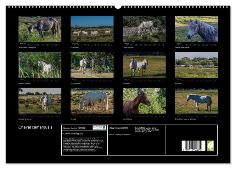 Produktbild: Cheval camarguais (Calendrier mural 2026 DIN A2 vertical) calendrier de bureau