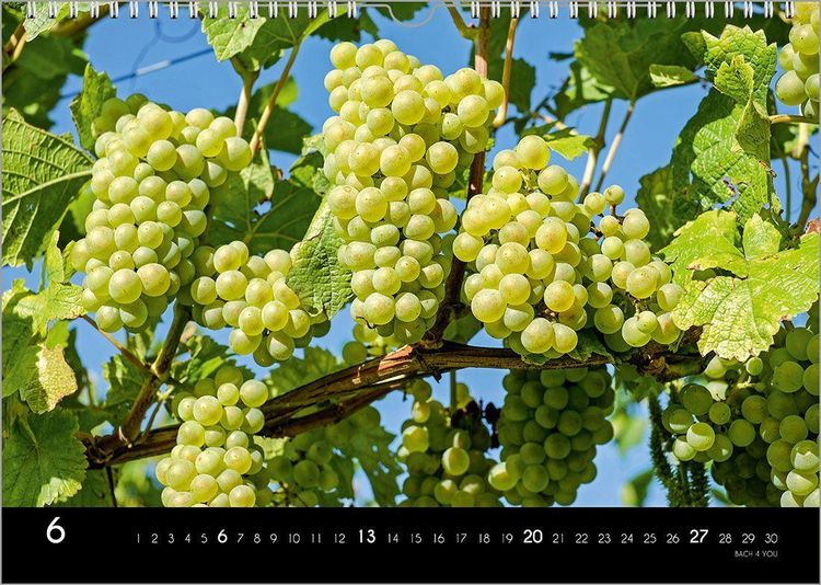 Produktbild: Der Weinkalender 2027, DIN A3 &ndash; ein Fotokalender