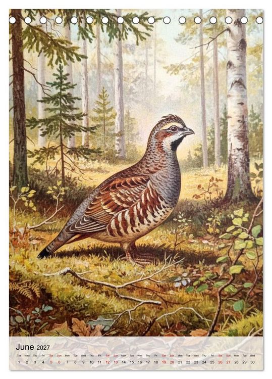 Produktbild: Birds of Europe in Old Paintings (Desk Calendar 2027 DIN A5 portrait), CALVENDO 12 Month DeskCalendar