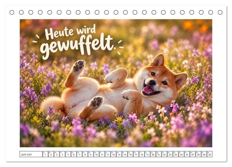 Produktbild: Zum Gl&uuml;ck gibt&rsquo;s Hunde (Tischkalender 2027 DIN A5 quer), CALVENDO Monatskalender