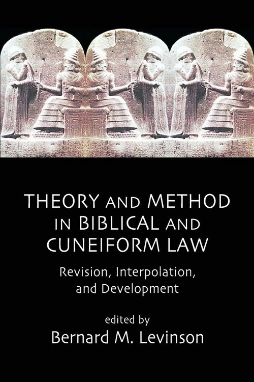 Produktbild: Theory and Method in Biblical and Cuneiform Law