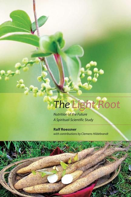 Produktbild: The Light Root