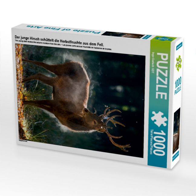 Produktbild: CALVENDO Puzzle Der junge Hirsch sch&uuml;ttelt die Herbstfeuchte aus dem Fell. | 1000 Teile Lege-Gr&ouml;&szlig;e 64x48cm Foto-Puzzle f&uuml;r gl&uuml;ckliche Stunden