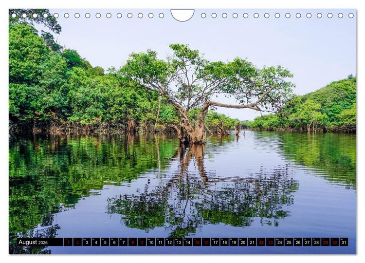 Produktbild: Amazonas - Faszination Regenwald (Wandkalender 2026 DIN A4 quer), CALVENDO Monatskalender