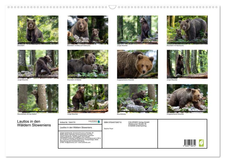 Produktbild: Lautlos in den W&auml;ldern Sloweniens (Wandkalender 2026 DIN A2 quer), CALVENDO Monatskalender
