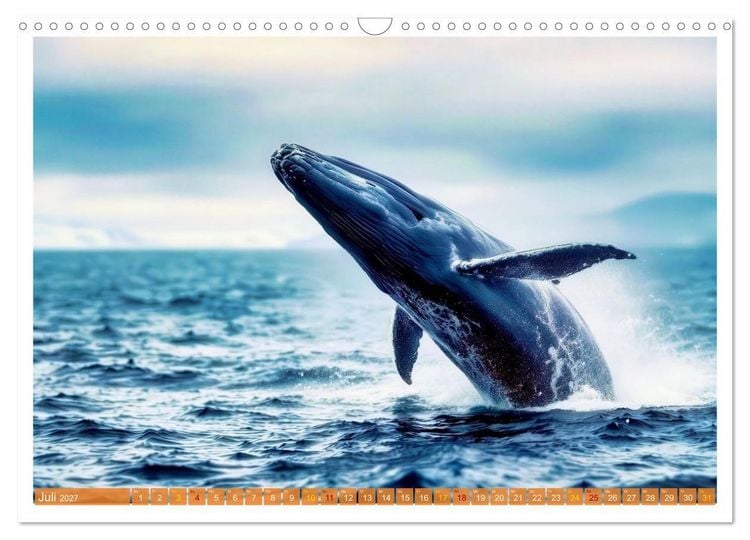 Produktbild: Whale Watching (Wandkalender 2027 DIN A3 quer), CALVENDO Monatskalender
