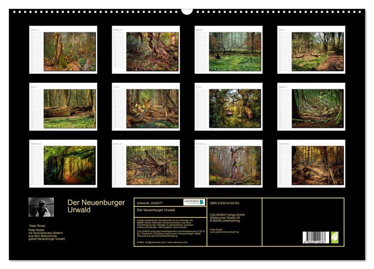 Produktbild: Der Neuenburger Urwald (Wandkalender 2026 DIN A2 quer), CALVENDO Monatskalender