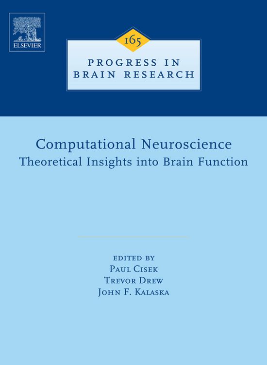 Produktbild: Computational Neuroscience: Theoretical Insights into Brain Function