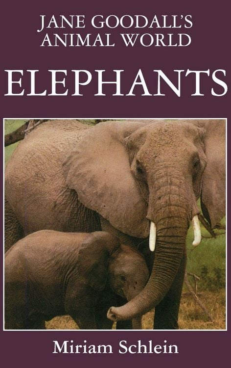 Produktbild: Jane Goodall's Animal World Elephants