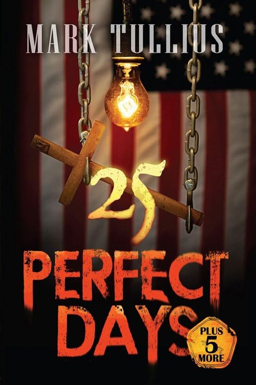 Produktbild: 25 Perfect Days