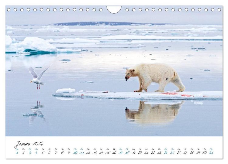 Produktbild: 78&deg; Nord - Arktische Momente in Svalbard (Wandkalender 2026 DIN A4 quer), CALVENDO Monatskalender