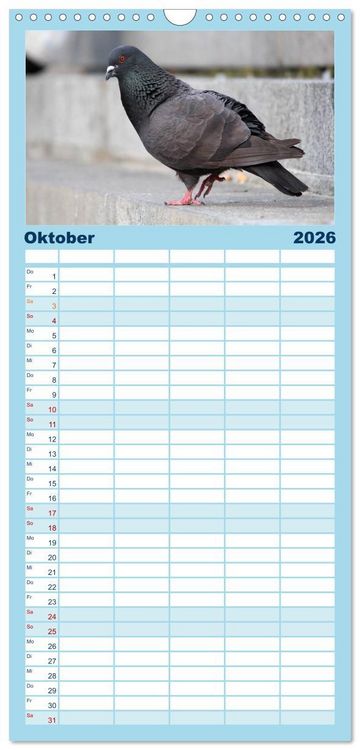 Produktbild: Familienplaner 2026 - Geliebte Tauben mit 5 Spalten (Wandkalender, 21 x 45 cm) CALVENDO
