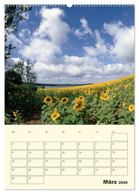 Produktbild: Usedom (hochwertiger Premium Wandkalender 2026 DIN A2 hoch), Kunstdruck in Hochglanz