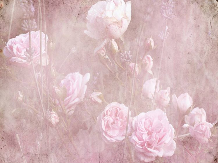 Produktbild: CALVENDO Puzzle Romantische Rosen, Vintage Style | 1000 Teile Lege-Gr&ouml;&szlig;e 64x48cm Foto-Puzzle f&uuml;r gl&uuml;ckliche Stunden