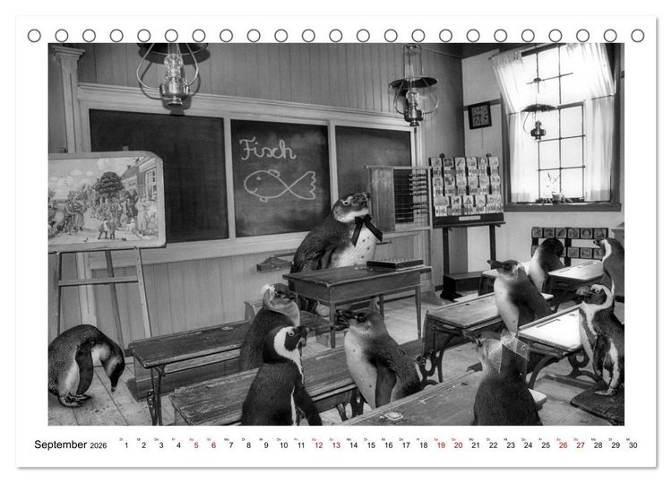 Produktbild: Pinguine privat (Tischkalender 2026 DIN A5 quer), CALVENDO Monatskalender