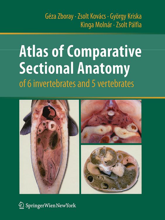Produktbild: Atlas of Comparative Sectional Anatomy of 6 invertebrates and 5 vertebrates