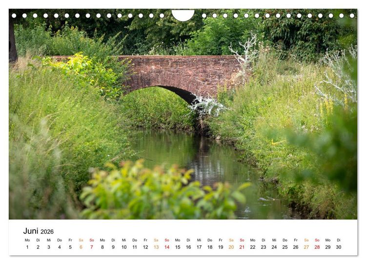 Produktbild: Die Hufeisengemeinde Br&uuml;hl (Wandkalender 2026 DIN A4 quer), CALVENDO Monatskalender