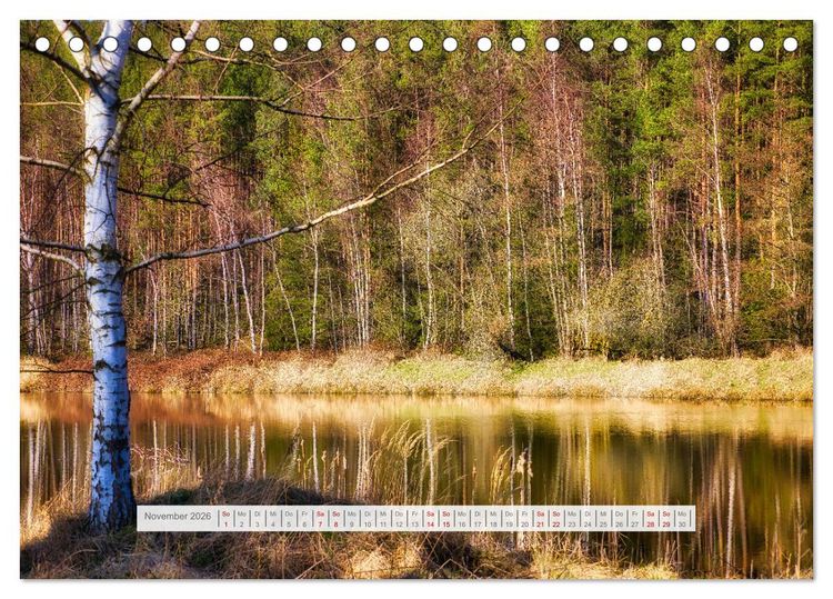 Produktbild: Die Sch&ouml;nheit des Th&uuml;ringer Waldes (Tischkalender 2026 DIN A5 quer), CALVENDO Monatskalender