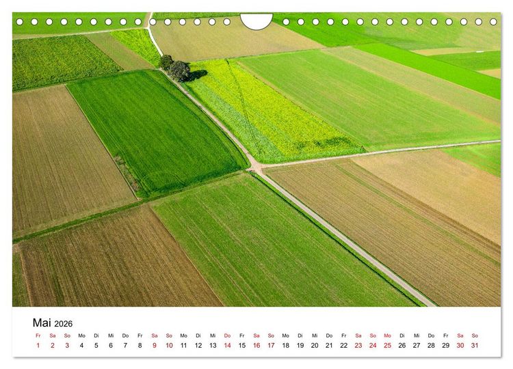 Produktbild: B&auml;ume - Wunder der Natur (Wandkalender 2026 DIN A4 quer), CALVENDO Monatskalender