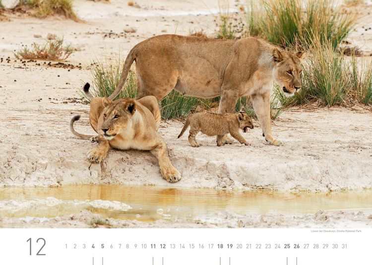 Produktbild: Namibia Exklusivkalender 2027