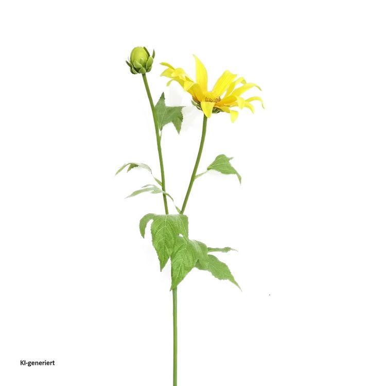 Produktbild: HTI-Living Fr&uuml;hlingsblume 74 cm Kunstblume Flora Fr&uuml;hlingsblume 74 cm Kunstblume Flora