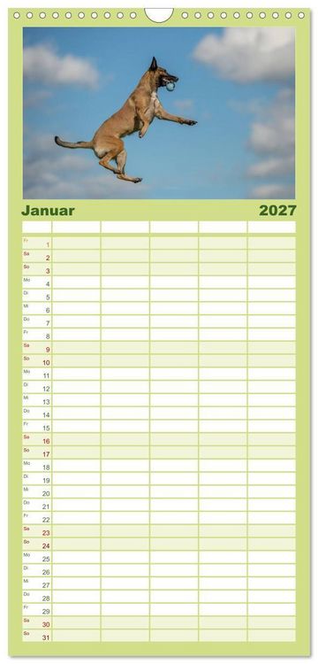 Produktbild: Familienplaner 2027 - Belgischer Sch&auml;ferhund - Der Malinois in Action mit 5 Spalten (Wandkalender, 21 x 45 cm) CALVENDO