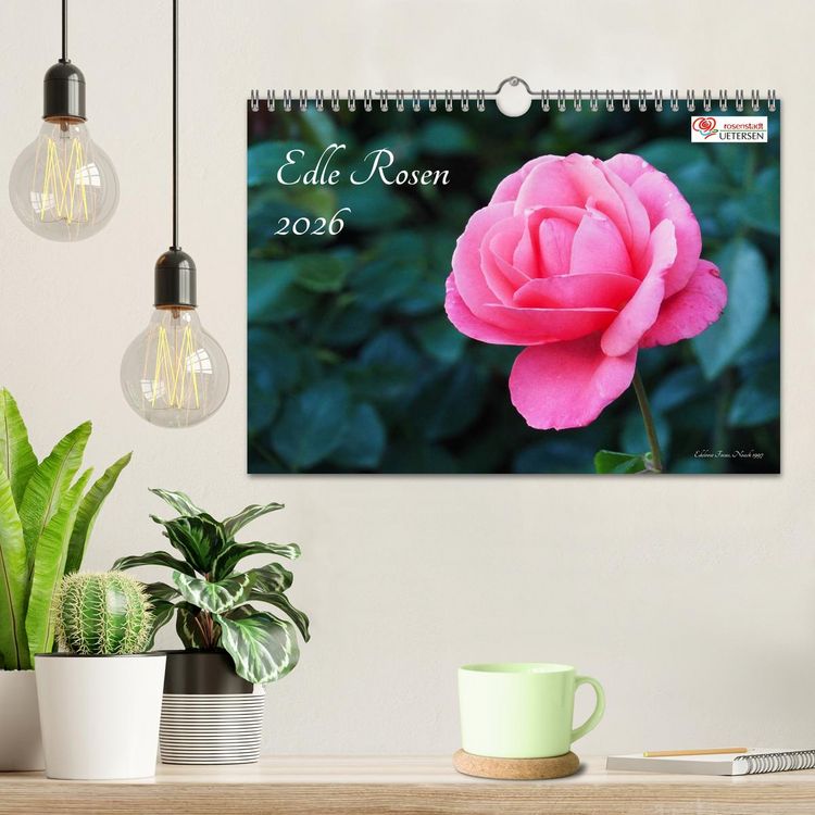 Produktbild: Edle Rosen (Wandkalender 2026 DIN A4 quer), CALVENDO Monatskalender