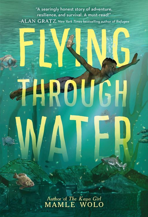 Produktbild: Flying Through Water