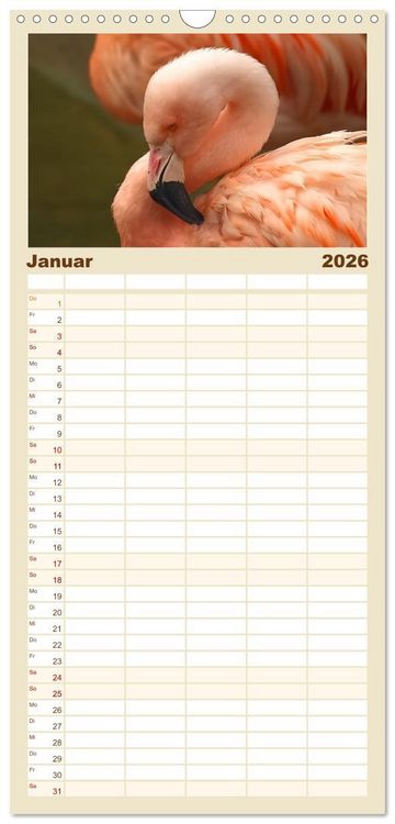 Produktbild: Familienplaner 2026 - Flamingo Zauber mit 5 Spalten (Wandkalender, 21 x 45 cm) CALVENDO
