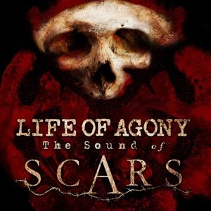 Produktbild: The Sound of Scars