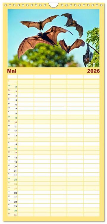 Produktbild: Familienplaner 2026 - Flughunde - Meister der Nacht mit 5 Spalten (Wandkalender, 21 x 45 cm) CALVENDO