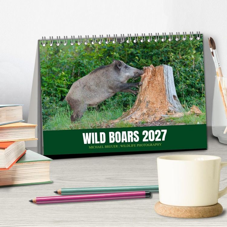 Produktbild: Wild Boars (Desk Calendar 2027 DIN A5 landscape), CALVENDO 12 Month DeskCalendar