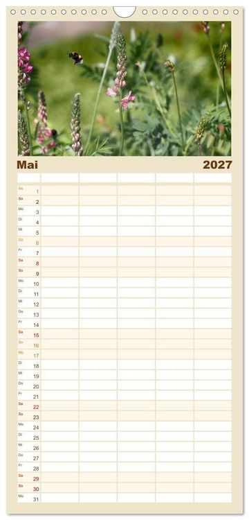 Produktbild: Familienplaner 2027 - Hummelflug mit 5 Spalten (Wandkalender, 21 x 45 cm) CALVENDO