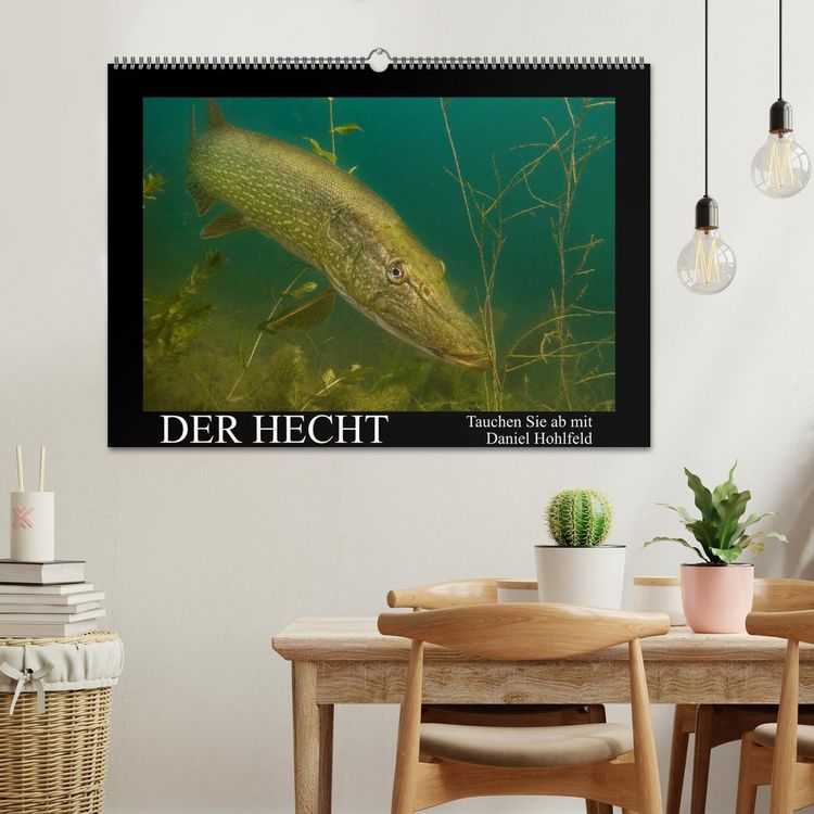 Produktbild: Der Hecht - Tauchen Sie ab mit Daniel Hohlfeld (Wandkalender 2026 DIN A2 quer), CALVENDO Monatskalender