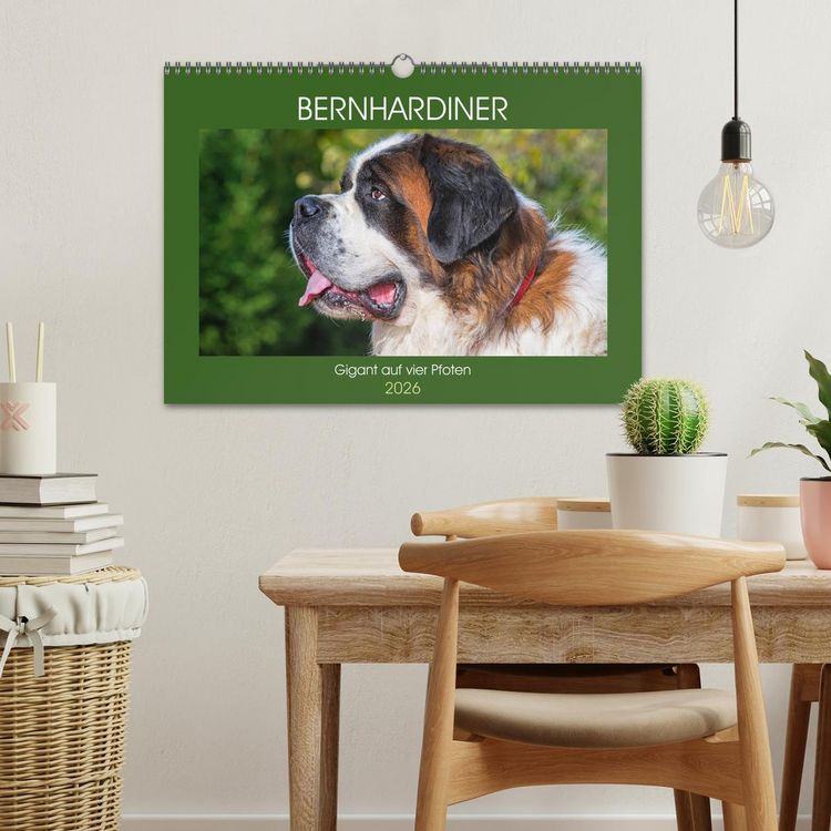 Produktbild: Bernhardiner - Gigant auf vier Pfoten (Wandkalender 2026 DIN A3 quer), CALVENDO Monatskalender