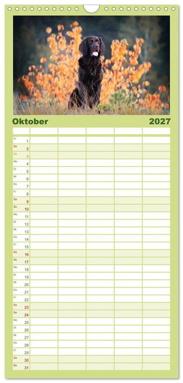 Produktbild: Familienplaner 2027 - Jagdhund im Portrait - Deutsch Langhaar mit 5 Spalten (Wandkalender, 21 x 45 cm) CALVENDO