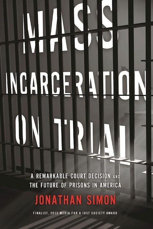 Produktbild: Mass Incarceration on Trial