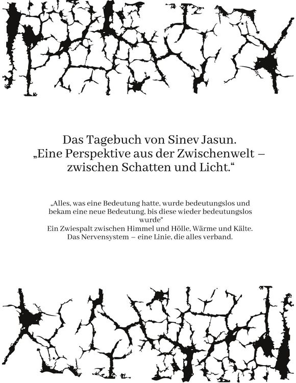 Produktbild: Das Tagebuch von Sinev Jasun. "Eine Perspektive aus der Zwischenwelt - zwischen Schatten und Licht."