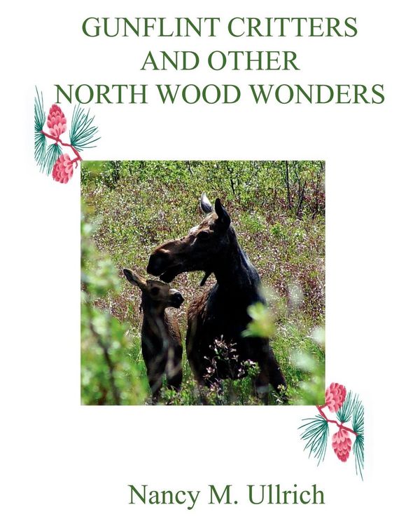 Produktbild: Gunflint Critters and Other North Wood Wonders