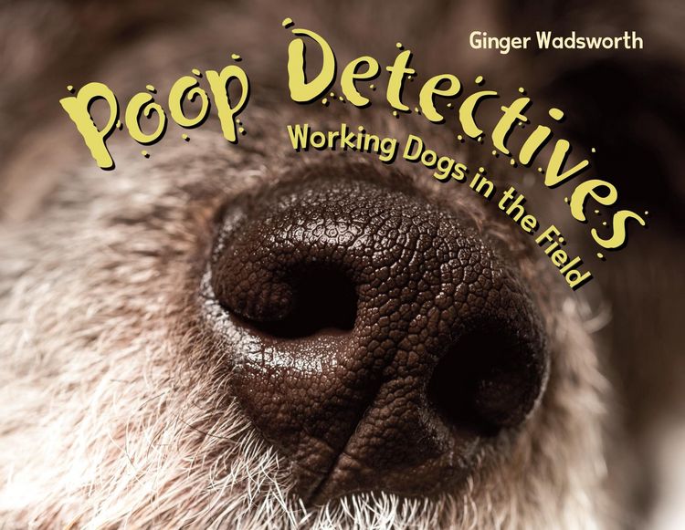 Produktbild: Poop Detectives